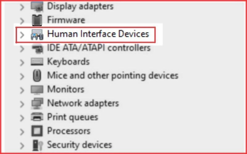 Mở phần "Human Interface Devices"
