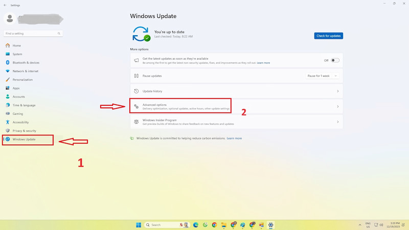 Chọn mục Windows Update  và chọn Advanced Options